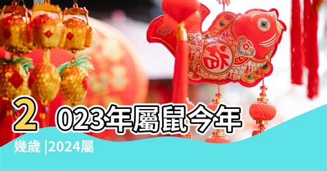 屬老虎的今年幾歲|屬虎今年幾歲？2024屬虎生肖年齡對照表！屬虎性格特質